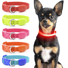Domagiker Light Up Dog Collars - Reflective LED Dog Collar Rechargeable Bright Safety Glow Collar for Small Dogs& Cats Flashing Lighted Dog Collar Lights for Night Walking (XS Red)
