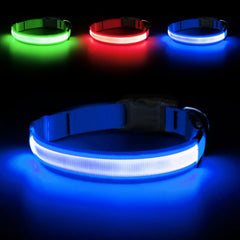 DOMIGLOW Light Up Dog Collars - USB Rechargeable Reflective LED Dog Collar Water-Resistant Glow Pet Collar Lights for Night Walking and Camping (Royal Blue Large)
