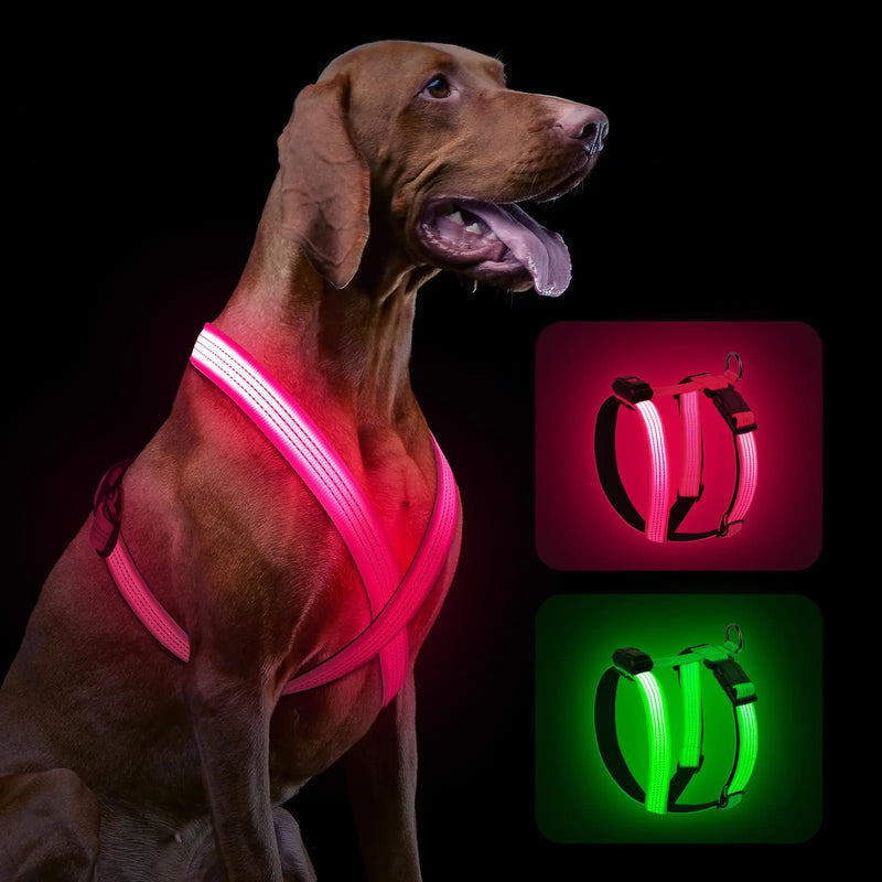 LED Dog Harness